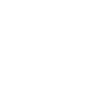 Best Value & Quality Icon