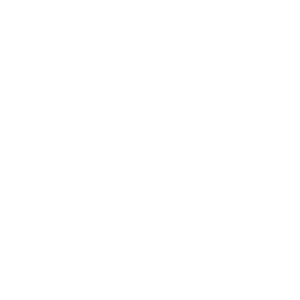 Discounted Wash Prices Icon