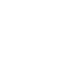 The locals' choice Icon