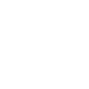 VIP Membership Icon